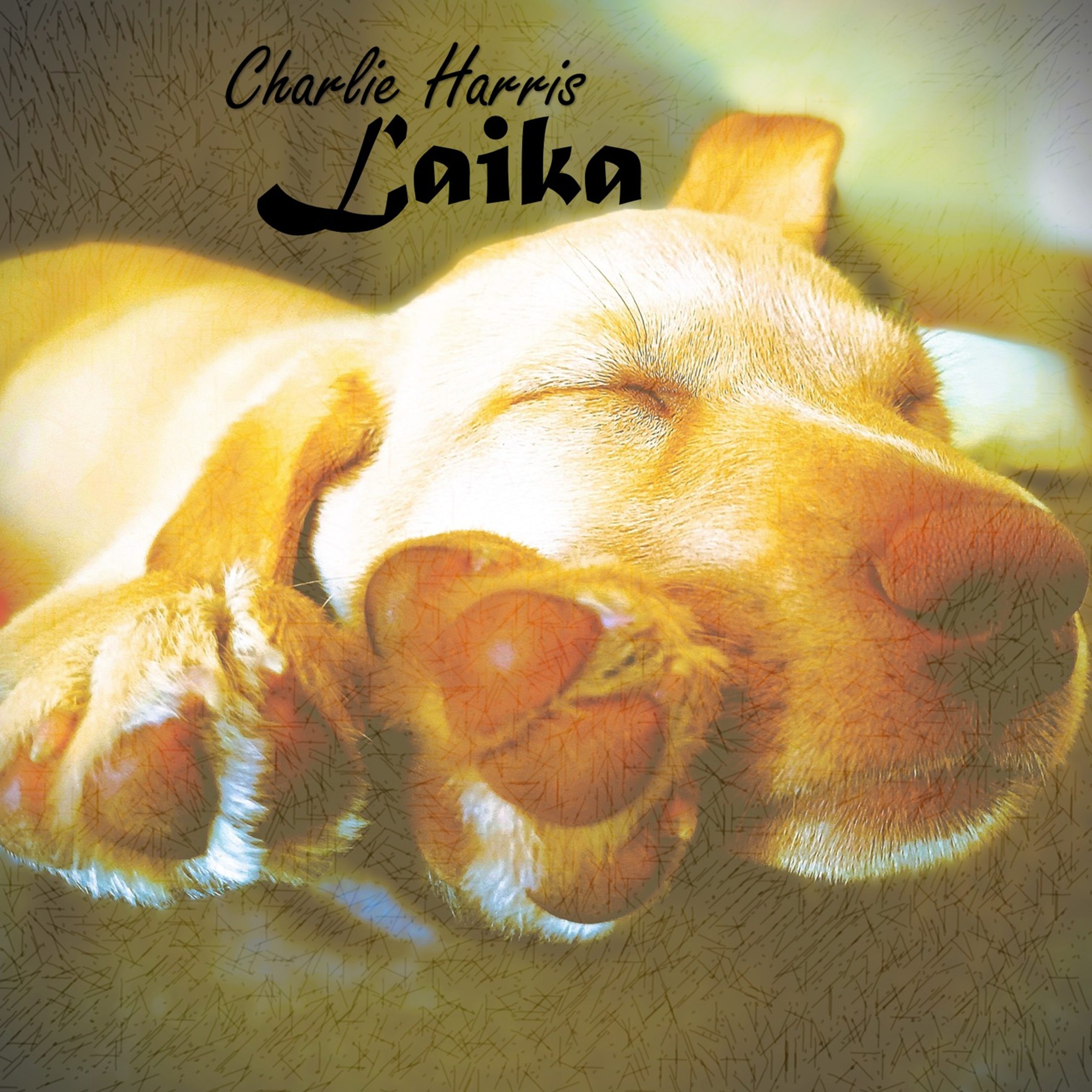 Charlie Harris Releases “Laika” — A Moving Tribute Inspired by the World’s Most Famous Space Dog – ADDED TO HIGH ROTATION
